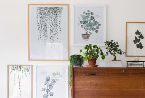 home-photography-gallery-03